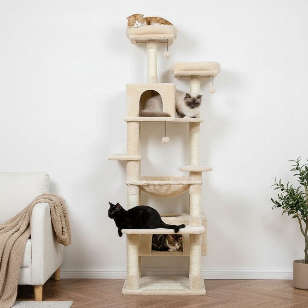 Grand Arbre à Chat pour Maine Coon 205cm
