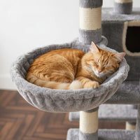 Grand Arbre à Chat XXL Grande Hauteur 193cm