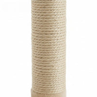 Petit Arbre à Chat avec Coussin Douillet 68cm