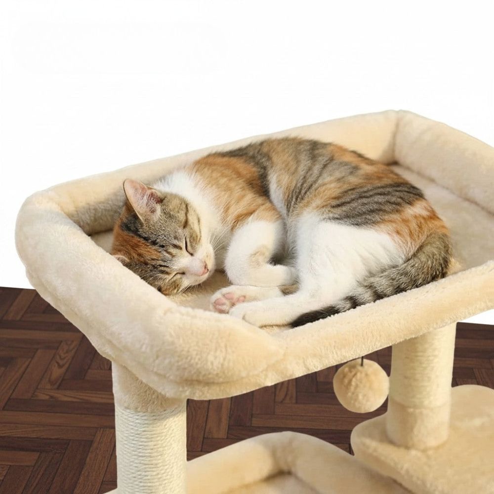 Petit Arbre à Chat avec Coussin Douillet 68cm
