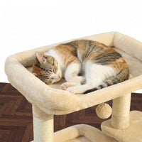 Petit Arbre à Chat avec Coussin Douillet 68cm