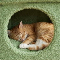 Petit Arbre à Chat avec Coussin Douillet 68cm
