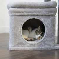 Petit Arbre à Chat avec Coussin Douillet 68cm
