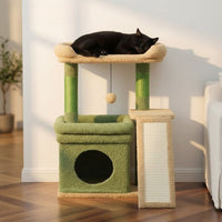 Petit Arbre à Chat avec Coussin Douillet 68cm