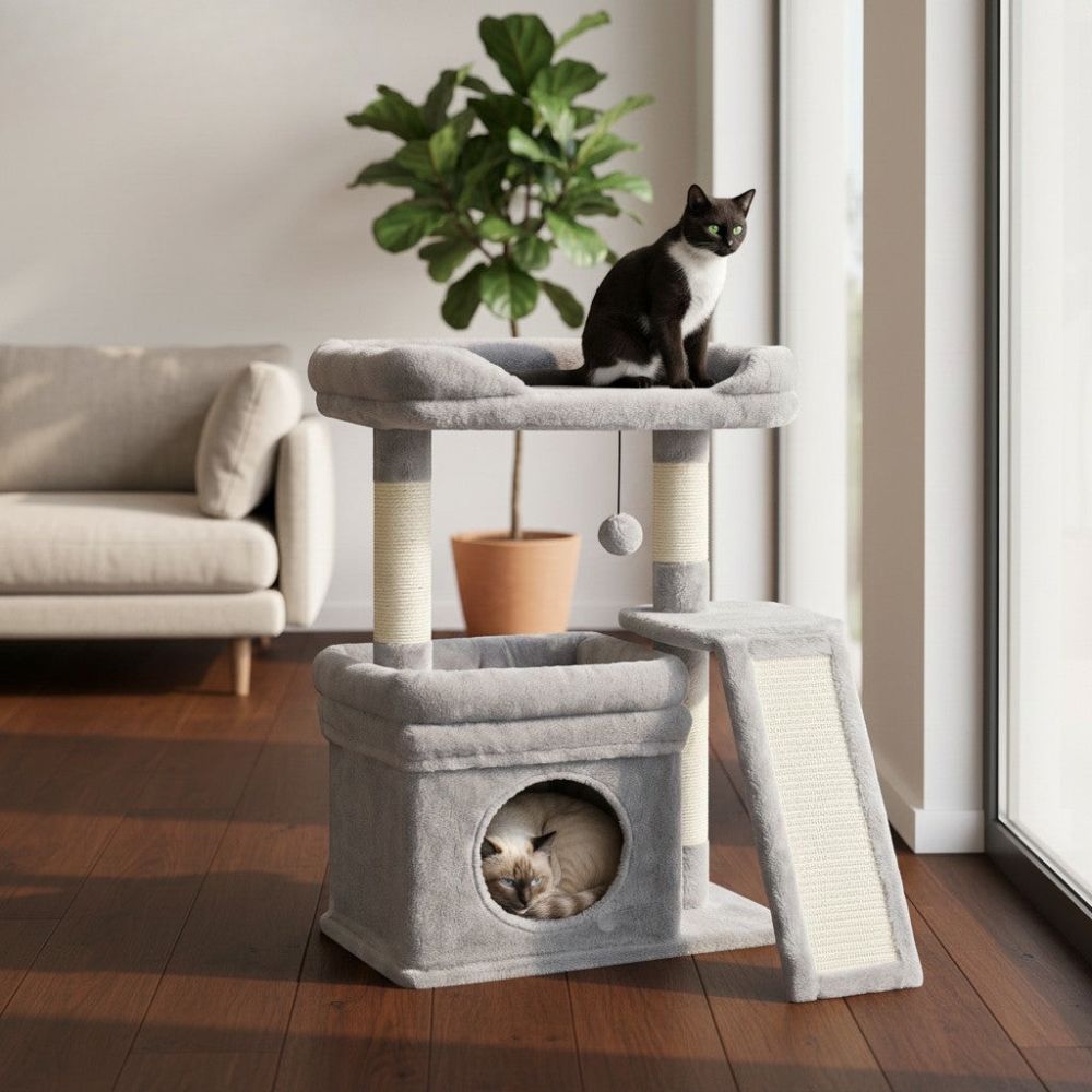 Petit Arbre à Chat avec Coussin Format Compact 68cm