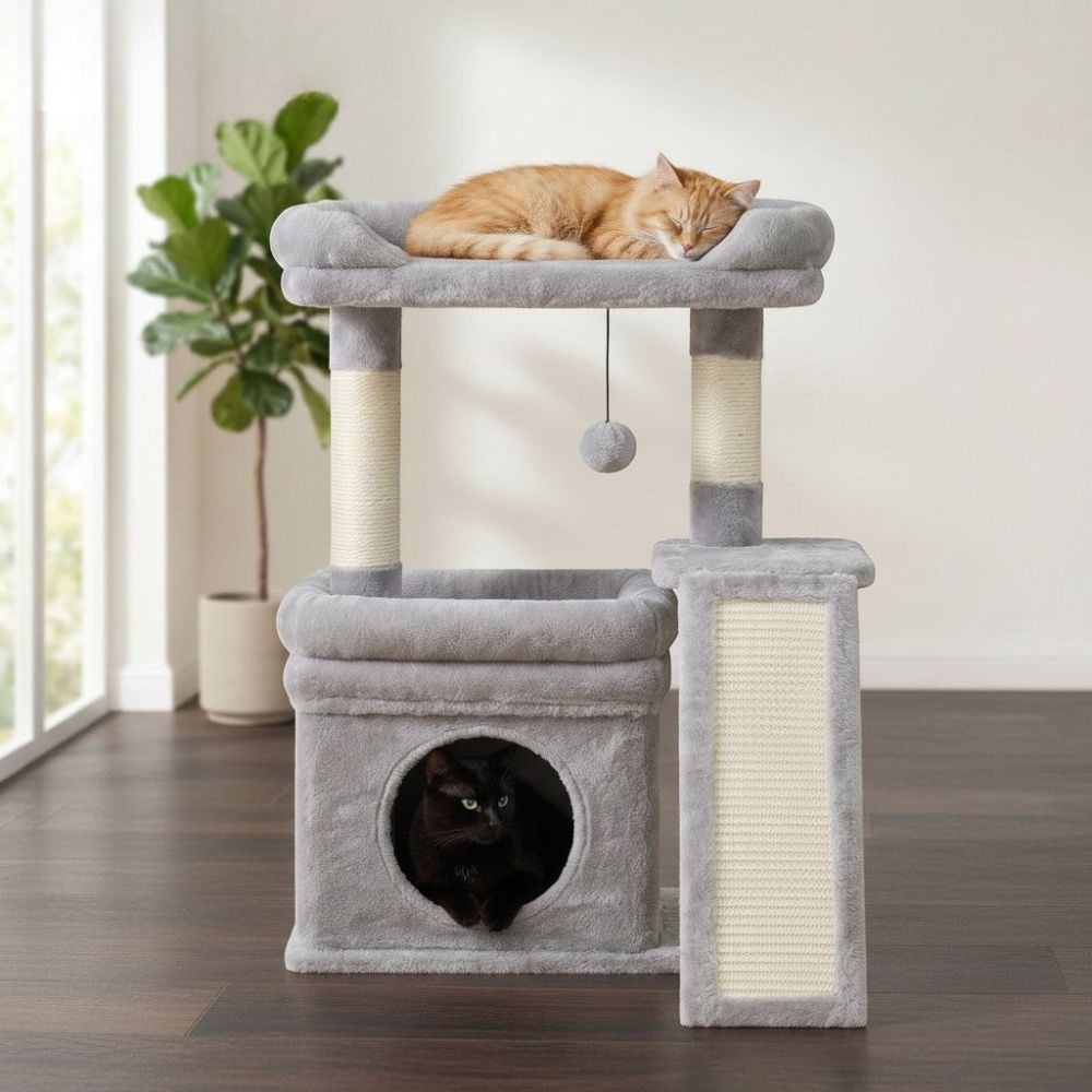 Petit Arbre à Chat avec Coussin Format Compact 68cm