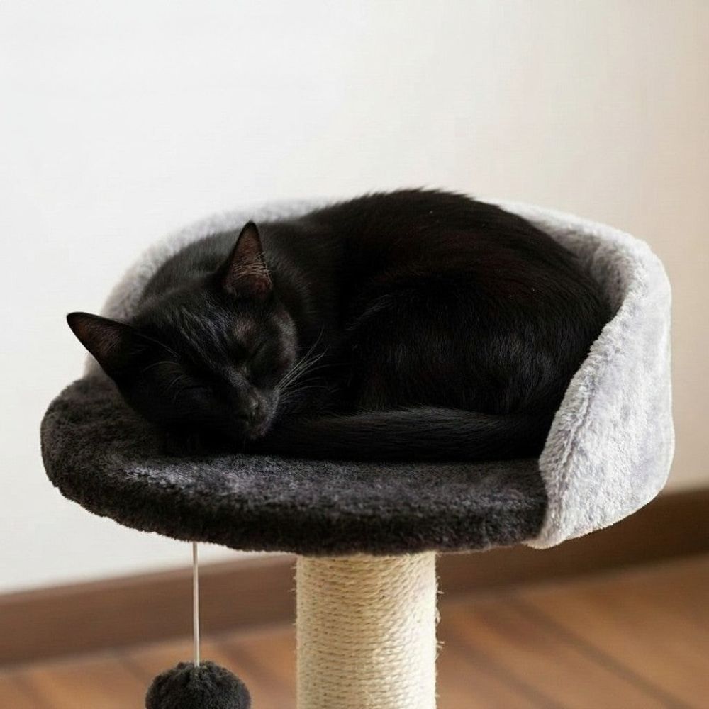 Petit Arbre à Chat avec Griffoir Compact 46cm